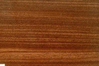 台北木地板 - 海島型木地板